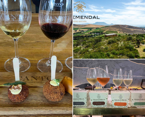 Some of the BEST Wine farms 🍷 in South Africa cover photo collage