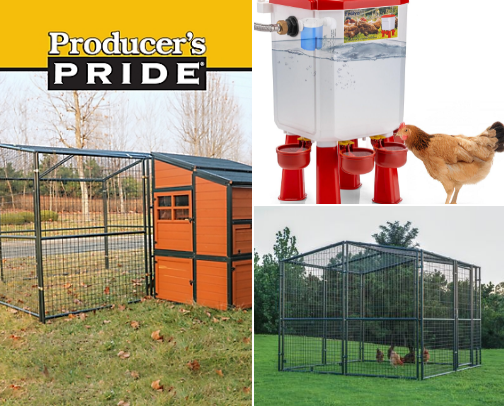 Chicken Coop ideas cover photo collage