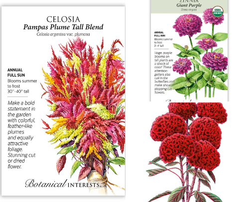 Flower Seeds I Grow and Love cover photo collage