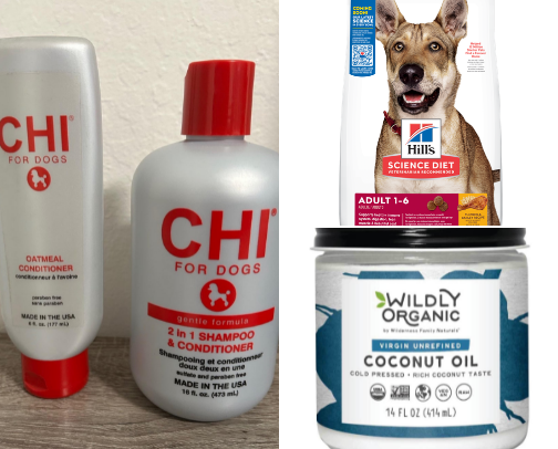 Pets cover photo collage