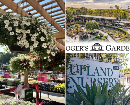 Create your dream Cottage Garden with a visit to these Orange County Nurseries cover photo collage