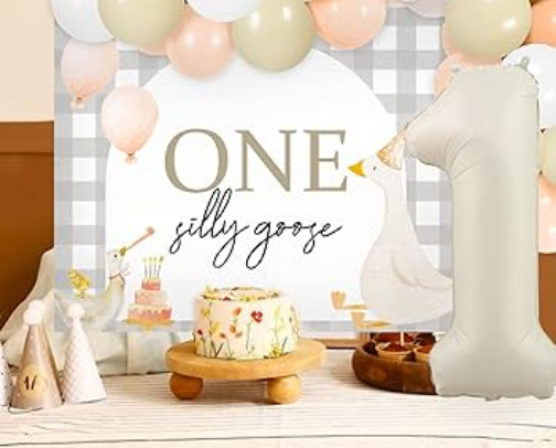 1st Birthday-One Silly Goose cover photo collage