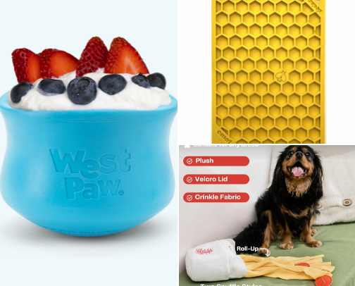 dog enrichment & essentials 🐶 cover photo collage