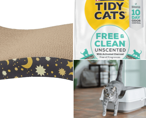 curiosity killed the cat cover photo collage