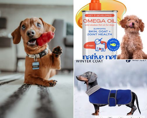 Dog cover photo collage