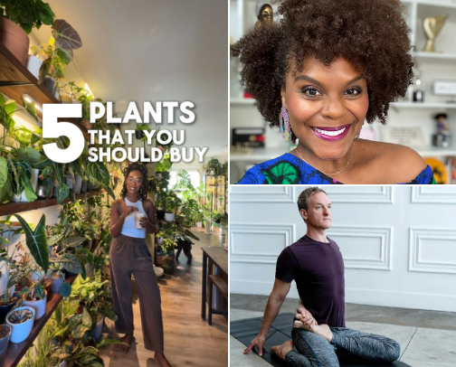 Content Creators & Big Names You Should Follow cover photo collage