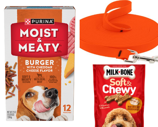 Service Dog Essentials cover photo collage