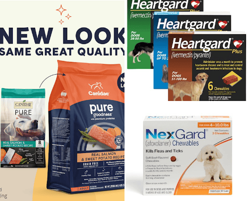 Goodies for the Doggo in Your Life cover photo collage