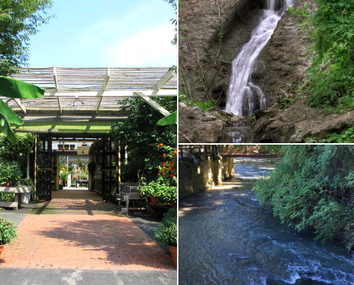 Things to do in Rochester, NY cover photo collage