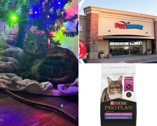 Cat Mom Essentials cover photo collage