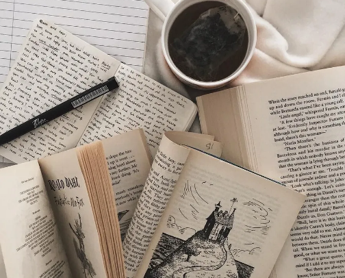 The reading list of a teenager cover photo collage