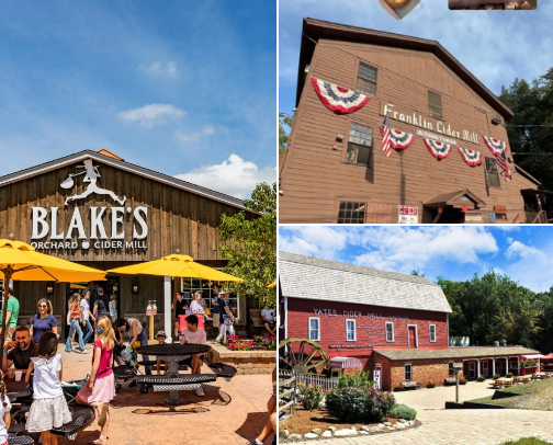 🍎 Best Cider Mills in Michigan (Within 4 Hours of Detroit) cover photo collage