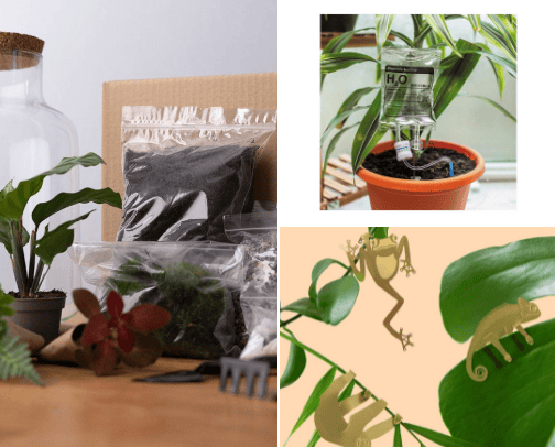 Plant Lovers 🩷 cover photo collage
