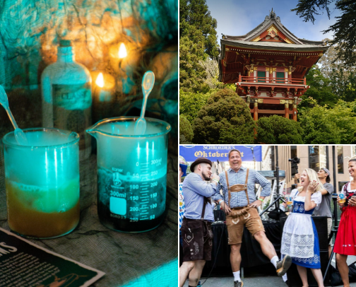 autumn: aka the best season in san francisco cover photo collage