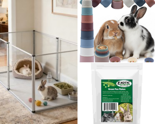 The Bunny Sanctuary: Cozy Essentials & Treats for Happy Pets 🐰✨ cover photo collage