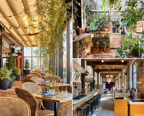 New York Recommendations cover photo collage