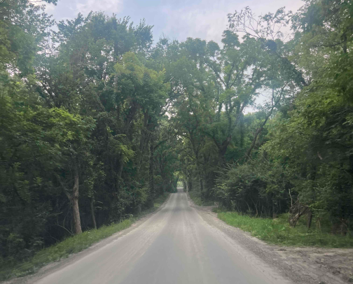 a peak into my pores cover photo collage