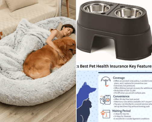 Dog items cover photo collage