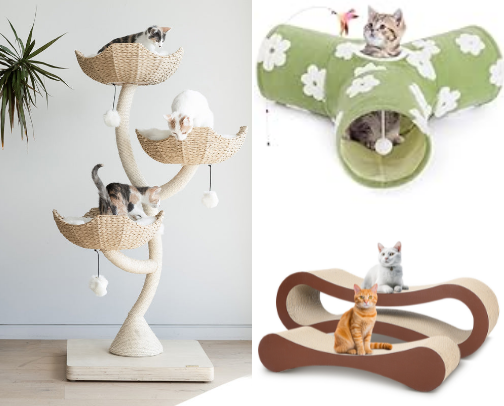 Favorite Cat Products to Spoil Your Furry Friend cover photo collage