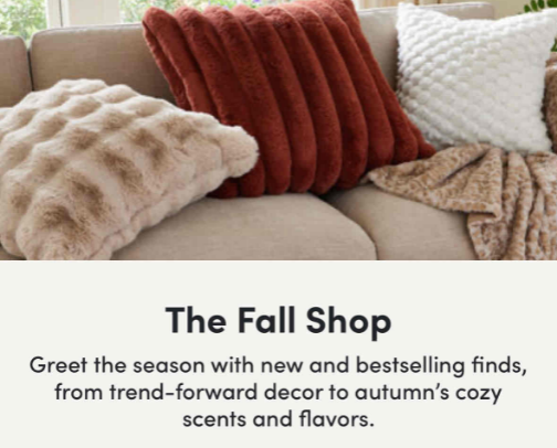 World Market Fall Finds 🦉 cover photo collage