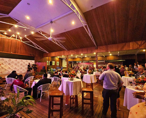 My top Ulamona recs cover photo collage