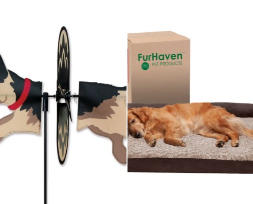 Paw-some finds cover photo collage