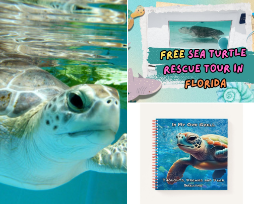 Sea Turtle Wonders: Gentle Encounters from the Ocean cover photo collage