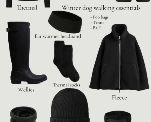 Winter Dog Walking Essentials cover photo collage