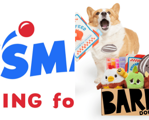 Dog toys 🦮 cover photo collage