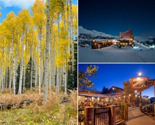 Flagstaff favorites cover photo collage