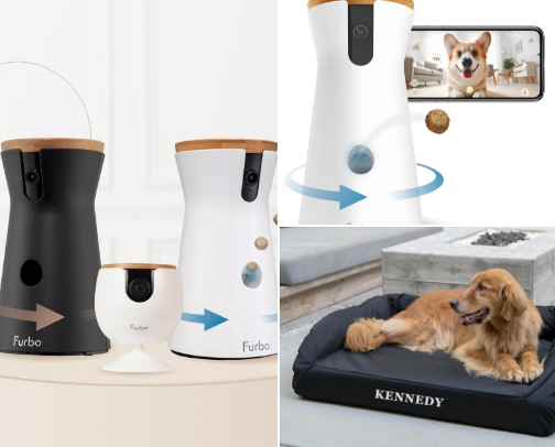 Everyday Luxury for Dogs cover photo collage