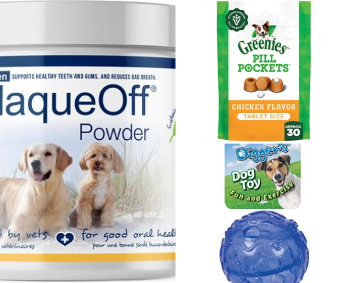 Senior Dog Health cover photo collage
