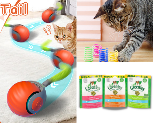 All Things Cat cover photo collage