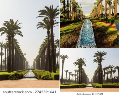 A comfortable hotel stay for this kind of trip, Casablanca, Morocco: Architecture, Green Escapes, and Easy Stays cover photo collage