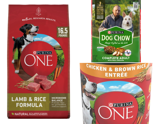 For the Love of Dogs cover photo collage