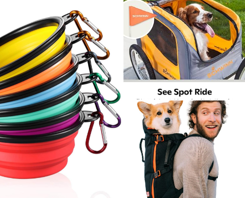Keep your dog happy during walks cover photo collage
