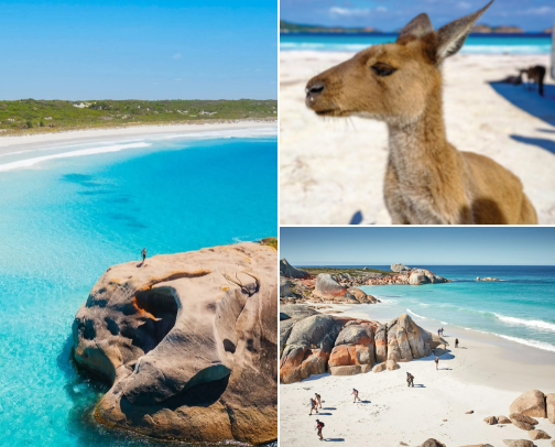 Australia's Most Beautiful Beaches 🏖️ cover photo collage