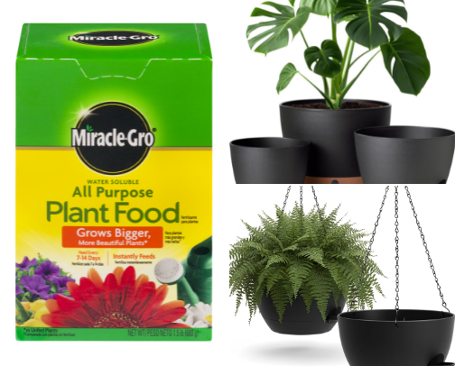 If you’re NEW to the Plant World 🌱 cover photo collage