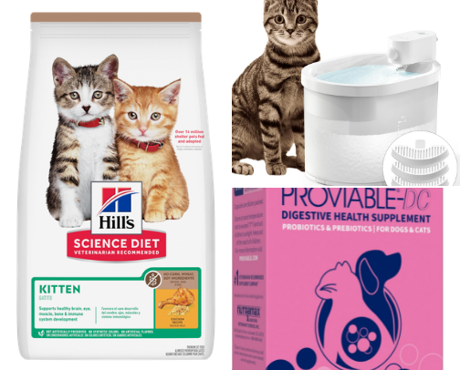 Cat Necessities (esp for the newbie who never thought they’d ever own a cat) cover photo collage