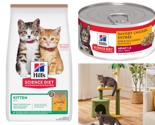 Cat stuff for the person who never thought she’d ever own a cat cover photo collage