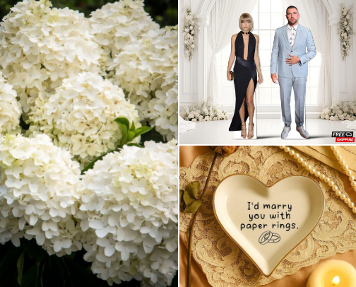 Travis & Taylor Wedding Party of the Century cover photo collage