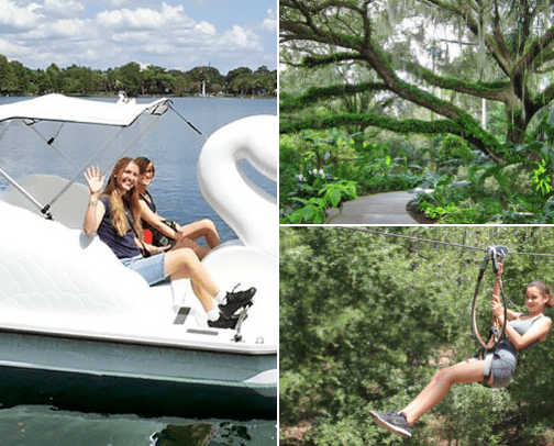Beyond the Theme Parks ~ Things to do in Orlando cover photo collage