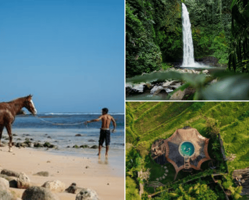 Local Trip cover photo collage