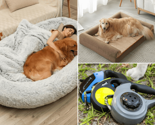 Pets cover photo collage