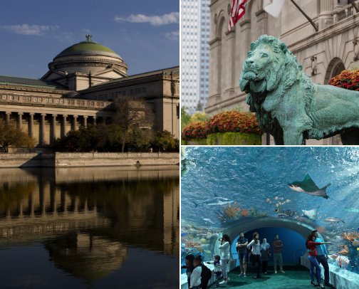 Hello Chicago cover photo collage