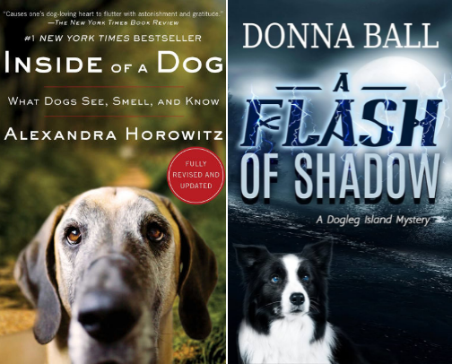 My favorite book recs cover photo collage