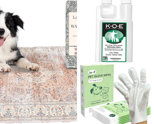 Pets cover photo collage