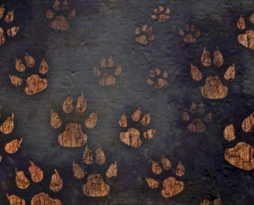 FUR BABIES cover photo collage
