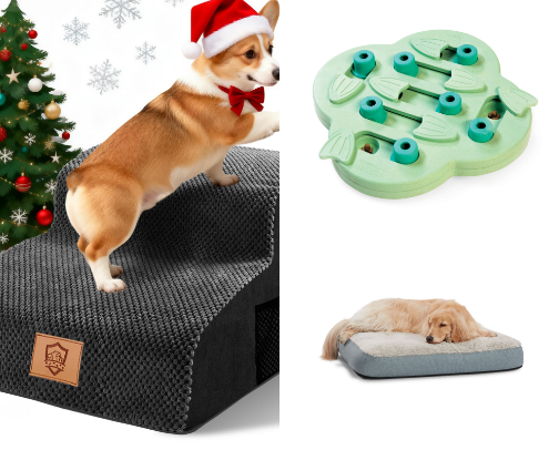 Old puppy love cover photo collage