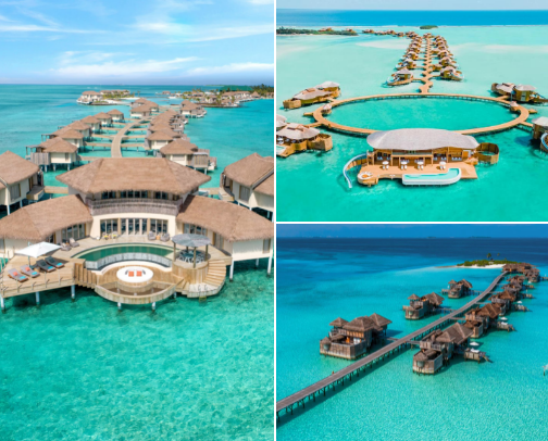 Maldives Unveiled: The Ultimate Guide to Luxury Hotels & Exquisite Dining cover photo collage